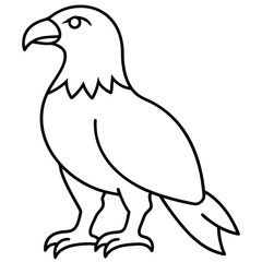 Golden Eagle full body vector illustrator, Hawk black icon, Hawk silhouette.