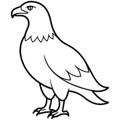 Golden Eagle full body vector illustrator, Hawk black icon, Hawk silhouette.