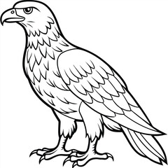 Golden Eagle full body vector illustrator, Hawk black icon, Hawk silhouette.