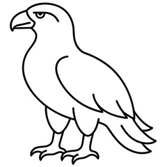Golden Eagle full body vector illustrator, Hawk black icon, Hawk silhouette.