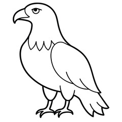 Golden Eagle full body vector illustrator, Hawk black icon, Hawk silhouette.