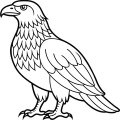 Golden Eagle full body vector illustrator, Hawk black icon, Hawk silhouette.