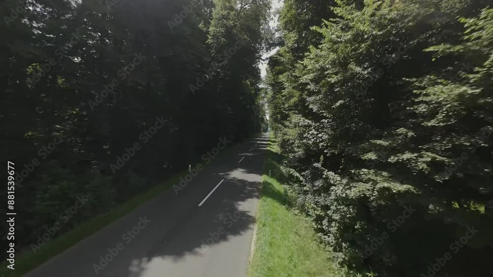 Poster a drone flies over a country road, showing the winding path through a dense forest. the road is surr