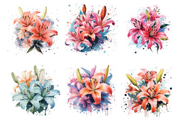 Lily floral watercolor vector