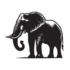 Elephant black silhouette isolated on white background