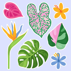 Tropical leaves and flowers of different colors and shapes. Summer stickers. Palm leaves, monstera, philodendron, strelitzia. Green and pink leaves, yellow and blue flowers.