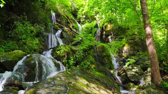 Place of a Thousand Drips In The Roaring Fork, Great Smoky National Park, Tennessee, USA