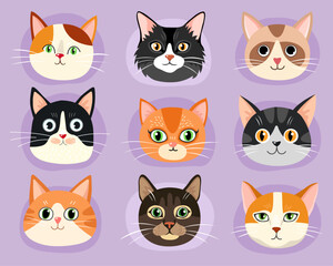 Collection of different faces of cats. Red, black, brown cats. Tabby, siamese and calico cute cats. Characters. Cartoon flat illustrations of kittens. Emotions. Animal faces.