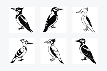 Woodpecker Bird Silhouette Vector illustration black and white