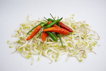 Fresh chilies and bean sprouts. just harvested. isolated in white background