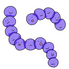 化膿レンサ球菌（Streptococcus pyogenes）