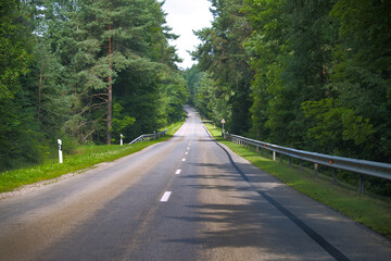 Quiet empty road in lush green forest during summer day with clear sky