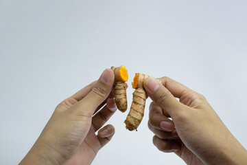 Human hands are breaking turmeric. Turmeric is a typical Indonesian spice. isolated on white background.