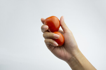 Human hand holding a fresh red tomato. isolated in white background