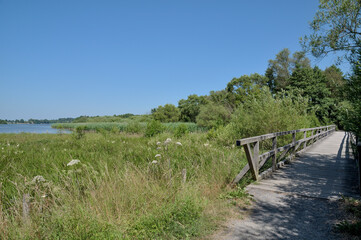 Footpath at Dreifelder Weiher Nature Reserve,Westerwald,Westerwaldkreis,Rhineland-Palatinate,Germany