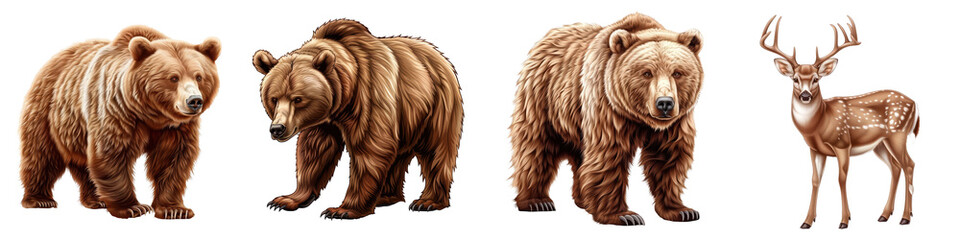 Fototapeta premium Illustration of three bears and a reindeer, depicting wildlife in a natural setting, showcasing the diversity and majesty of wild animals.