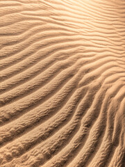sand ripples in the desert