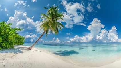 Obraz premium Tropical beach with palm trees.