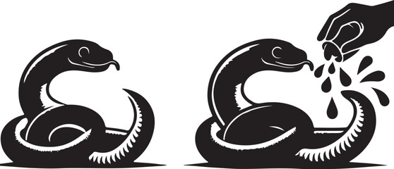 Animal Vector art of Caecilian 2024 new 