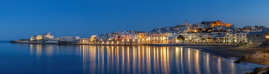 Panorama of the beautiful city of Vieste on the Gargano in Puglia, Italy, at night