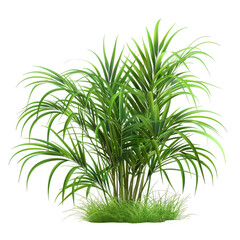 Fototapeta premium A cluster of vibrant green palm fronds and grass are isolated against a white background