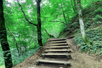 Obraz premium 初夏の登山