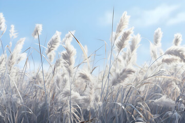 Fototapeta premium 3D Render of White Grass Field