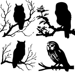 Owl  Perching on a branch silhouette isolated on white background