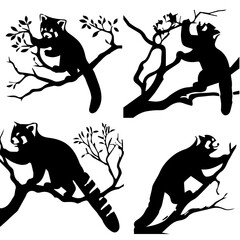 Red Panda  Climbing a branch