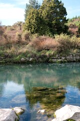 The Rangitaiki River