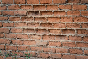 A brick wall with a hole in it. The wall is made of red bricks