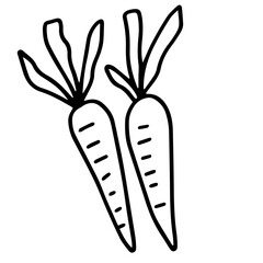 Hand drawn black and white color of  carrots design isolated on trantransparent background. Vector illustration. 
