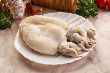 Raw fresh cuttlefish for cooking