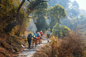 Obraz premium Back view of group friends hiking with backpacks to along mountain path through beautiful forest during trek in Himalayas, Nepal.