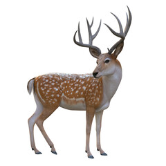 3d render deer with antlers