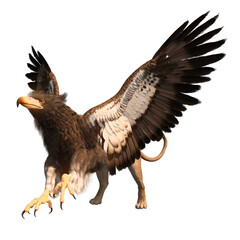 3d render grypho winged creature of fantasy and mythology