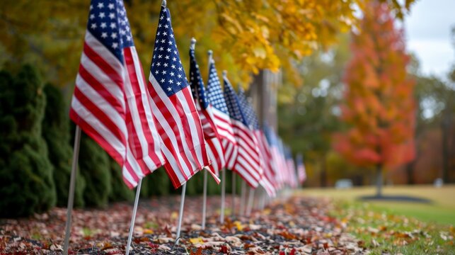 Row of colorful American flags against autumn trees symbolizing patriotism and reflection.
