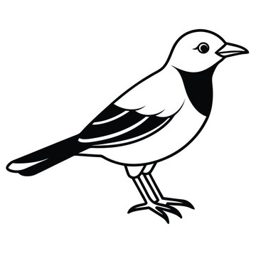 recommend clip art: Bird silhouette with white background