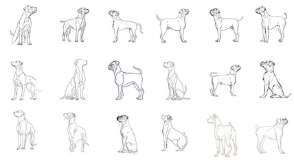 Sustainable Communities: Embracing Nature through Line Dog Animal Vector Art