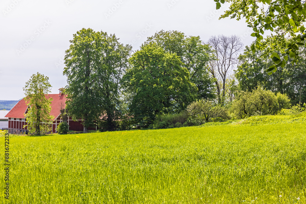 Wall mural red barn by a grass meadow in the summer