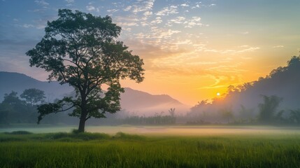 Free good morning scene wallpaper background photo
