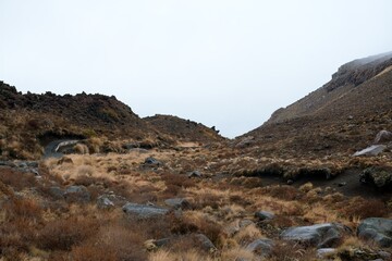 hiking path in the mountains on a cloudy day.