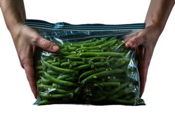 The Bean Guardian on White or PNG Transparent Background.