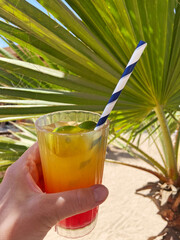 Cocktail in glass width some lemon into the hand on palm trees background. Holiday and relaxing concept