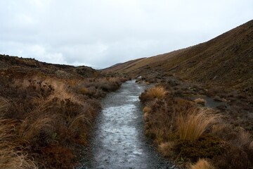 hiking path in the mountains on a cloudy day.