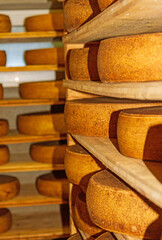 Allgäu - Bergkäse - Sennerei - Laibe