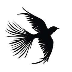Silhouette of black swallow drawing spreading wings.