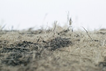 Detailed photography of roof covering material with asbestos fibres.