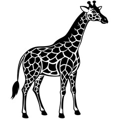 Obraz premium giraffe vector illustration
