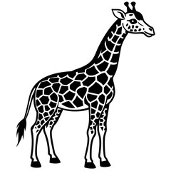 giraffe vector illustration